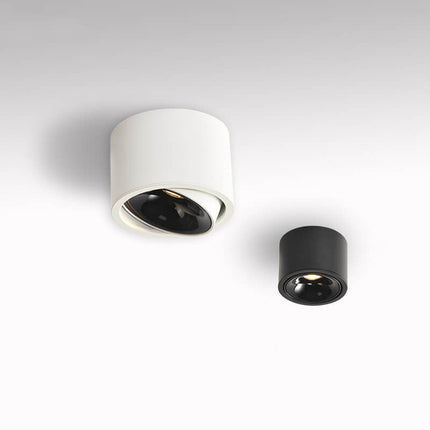 LED Flush Mount Ceiling Light, Round Ceiling Spotlight with Adjustable Head, Low Profile Hallway Ceiling Light