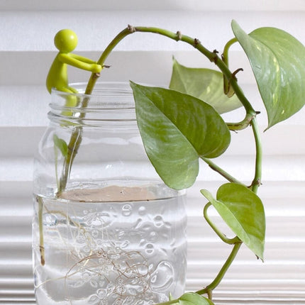 Plant Holders for Water Propagation, Gardening Gifts for Plant Lovers