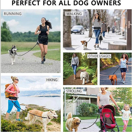 Hands-Free Dog Leash & Training Belt with Adjustable Bungee | Secure Control for Active Walks and Runs