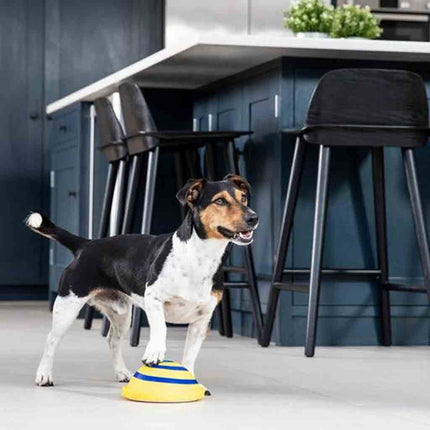Sound Disc Woof Glider Dog Toy with Built-In Sound | Chew Toy for Entertainment and Bonding