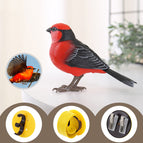 Vermillion King Sparrow
