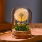 Floral Night Light with Dried Flowers Under Glass Dome | Gentle Ambient Glow for Home Décor and Relaxation