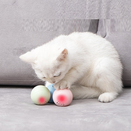 Self-Hi Pussy Cat Music Ball Toy with Interactive Sound | Engaging Playtime for Cats in Blue, Pink, Green