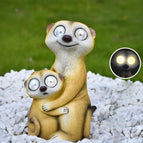 Hug Meerkat