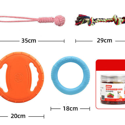 Plastic Dog Frisbee Training Set in Orange, Purple & Green | Durable Anti-Bite Toys for Interactive Play