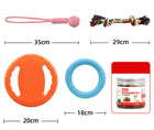 Plastic Dog Frisbee Training Set in Orange, Purple & Green | Durable Anti-Bite Toys for Interactive Play