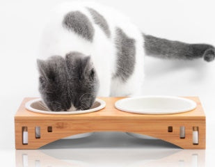 Bamboo Wood Cat Dining Table with Arch Design & High-Quality Bowl | Elegant Feeding Solution for Modern Homes