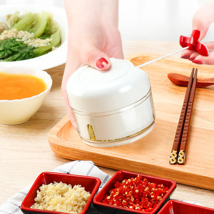 Mini Food Chopper for Garlic, Onion & Ginger with Stainless Steel Blades | Easy Meal Prep for Delicious Sauces and Salads