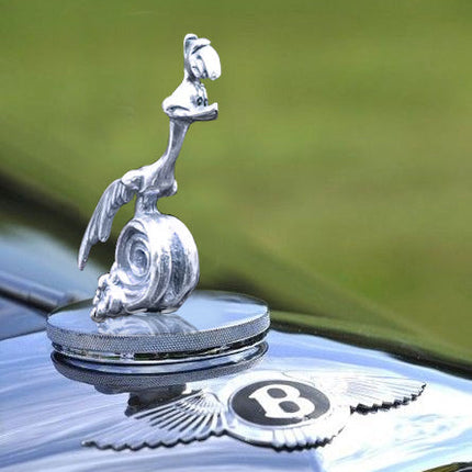 Hood Ornament for Car
