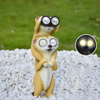 Binocular Meerkat