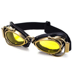Yellow / Black