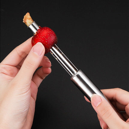 Stainless Steel Pineapple Peeler and Slicer with Ergonomic Handle | Efficient Tool for Easy Pineapple Preparation