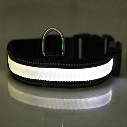 Solar Charging Pet Collar with LED Light for Safety | Adjustable Nylon Design for All Dog Sizes