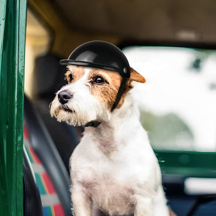 Dog Motorcycle Helmet, Dog Goggles with UV Resistant Lens, Dog Helmets with Adjustable Strap for Small and Medium Dogs