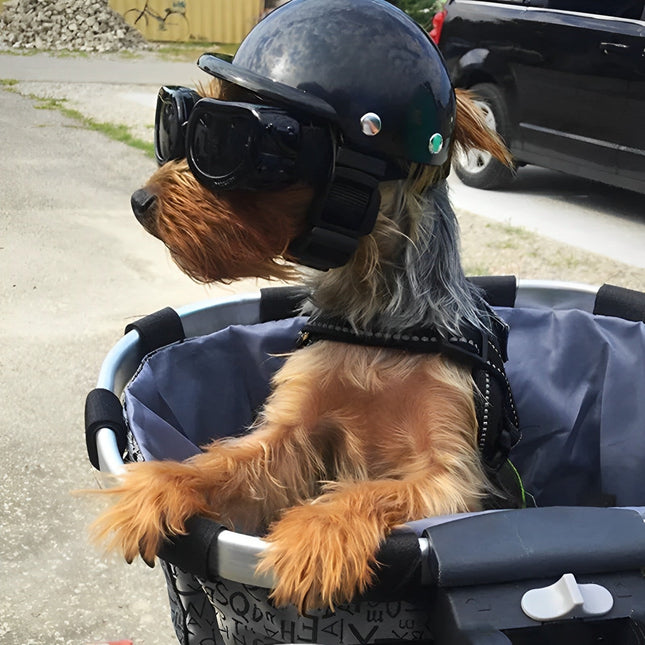 Dog Motorcycle Helmet, Dog Goggles with UV Resistant Lens – image 4