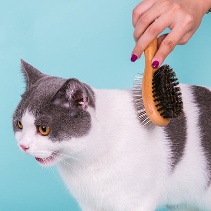 Stainless Steel Pet Comb with Double-Sided Design | Efficient Grooming Tool for All Coat Types