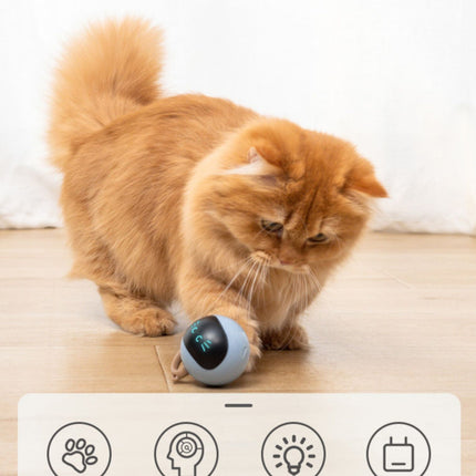 Interactive Fitness Ball Cat Toy with USB Rechargeable Design | Fog Blue Magic Ball for Active Play and Exercise