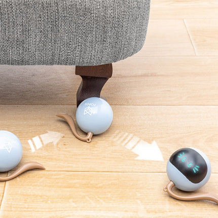 Interactive Fitness Ball Cat Toy with USB Rechargeable Design | Fog Blue Magic Ball for Active Play and Exercise