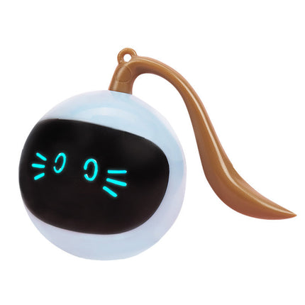 Interactive Fitness Ball Cat Toy with USB Rechargeable Design | Fog Blue Magic Ball for Active Play and Exercise