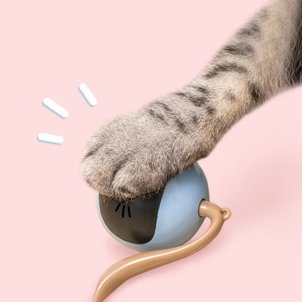 Interactive Fitness Ball Cat Toy with USB Rechargeable Design | Fog Blue Magic Ball for Active Play and Exercise