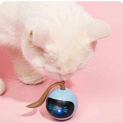 Interactive Fitness Ball Cat Toy with USB Rechargeable Design | Fog Blue Magic Ball for Active Play and Exercise