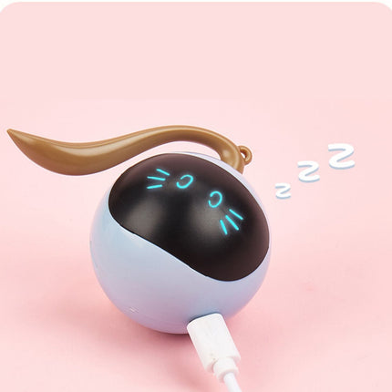 Interactive Fitness Ball Cat Toy with USB Rechargeable Design | Fog Blue Magic Ball for Active Play and Exercise