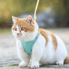 Cat Harness Vest with Leash for Safe Stylish Walks | Adjustable Soft Suede Design for Comfort and Durability