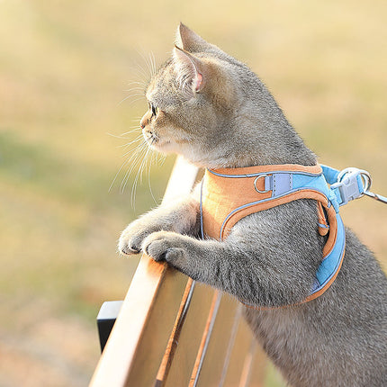 Cat Harness Vest with Leash for Safe Stylish Walks | Adjustable Soft Suede Design for Comfort and Durability
