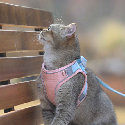 Cat Harness Vest with Leash for Safe Stylish Walks | Adjustable Soft Suede Design for Comfort and Durability
