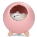 Pink Bluetooth