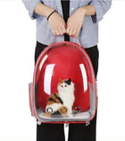 Transparent Pet Backpack for Small Pets up to 12kg | Comfortable Carrier with Side Access for Easy Travel
