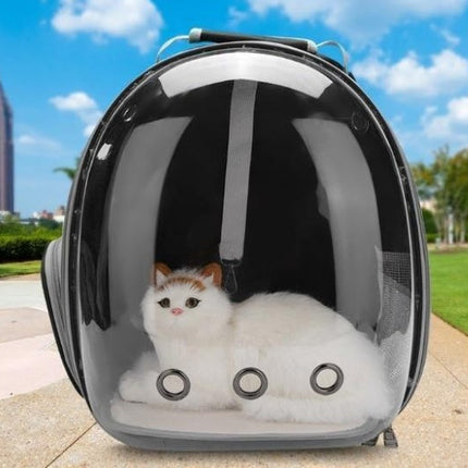 Transparent Pet Backpack for Small Pets up to 12kg | Comfortable Carrier with Side Access for Easy Travel