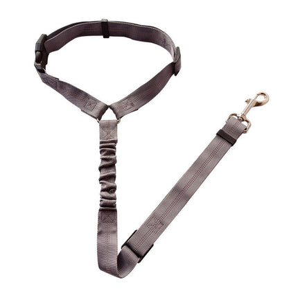 Adjustable Pet Car Seat Belt with Elastic Rope & Reflective Lines | Safe Travel for Dogs and Cats