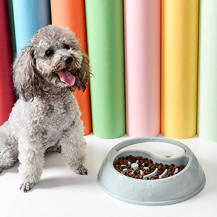 Anti-Choke Combination Bowl for Cats and Dogs | Eco-Friendly Design to Prevent Choking and Keep Pets Hydrated