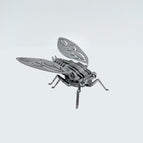 Cicada