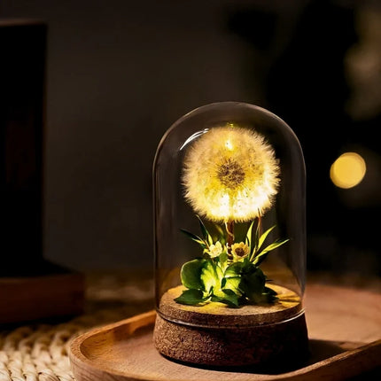 Floral Night Light with Dried Flowers Under Glass Dome | Gentle Ambient Glow for Home Décor and Relaxation