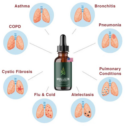 Mullein and Chlorophyll Drops, Liquid Chlorophyll Dietary Supplement