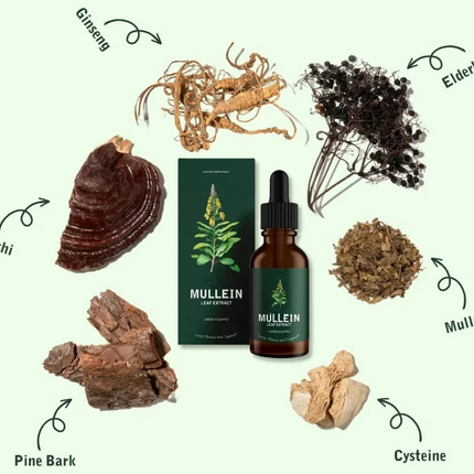 Mullein and Chlorophyll Drops, Liquid Chlorophyll Dietary Supplement – image 4
