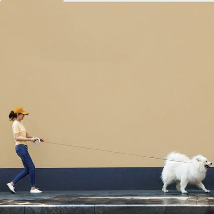 Automatic Pet Traction Rope with Ergonomic Design | 2.6m Length for Comfortable Walking and Safety