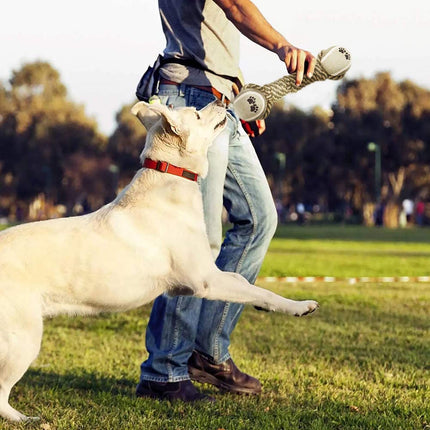 Interactive Cotton Rope Chew Toy for Dogs | Durable Design for Safe Play and Dental Health