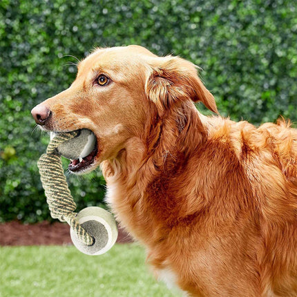 Interactive Cotton Rope Chew Toy for Dogs | Durable Design for Safe Play and Dental Health