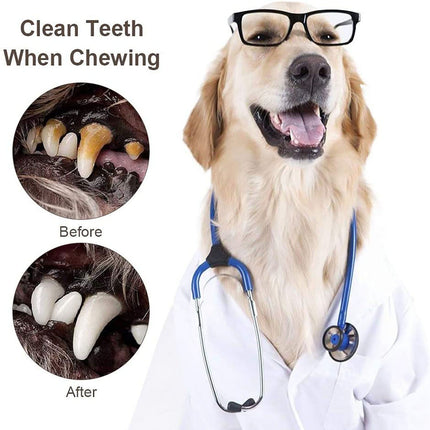 Interactive Cotton Rope Chew Toy for Dogs | Durable Design for Safe Play and Dental Health