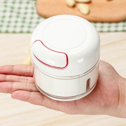 Mini Food Chopper for Garlic, Onion & Ginger with Stainless Steel Blades | Easy Meal Prep for Delicious Sauces and Salads