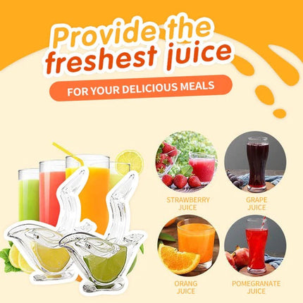 Portable Manual Lemon Juicer with Ergonomic Design | Eco-Friendly Acrylic Squeezer for Fresh Juice at Home
