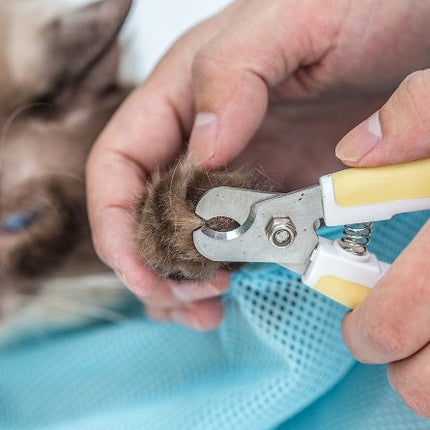 Cat Grooming Bag with Mesh Design for Easy Bathing | Stress-Free Grooming Tool for Cats