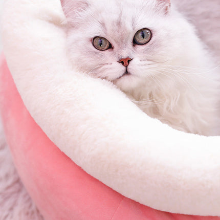 Cat Litter Mat with Cute Bunny Design | Comfortable Cloth for Healthy & Stylish Cat Resting
