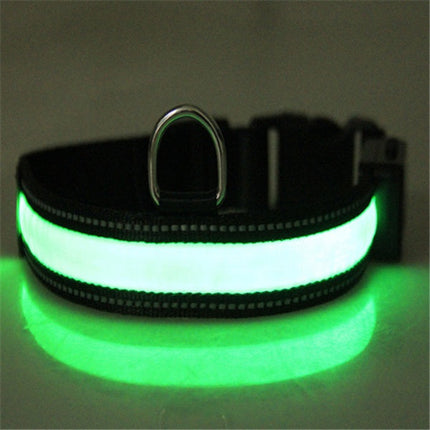 Solar Charging Pet Collar with LED Light for Safety | Adjustable Nylon Design for All Dog Sizes