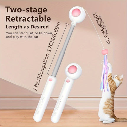Retractable Cat Teaser Wand with Interchangeable Feather & Tassel Heads | Engaging Play for Indoor Cats