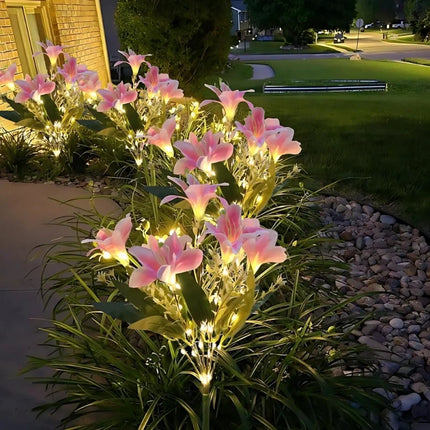 Solar Flower Lights for Garden with Timeless Floral Design | Durable Outdoor Décor for Enchanting Nighttime Glow