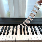 Piano Key Labels for Beginners, Removable Keyboard Note Labels, Silicone Piano Note Guide for Keyboard Piano Notes